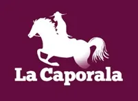 Logo Galu Inmobiliaria