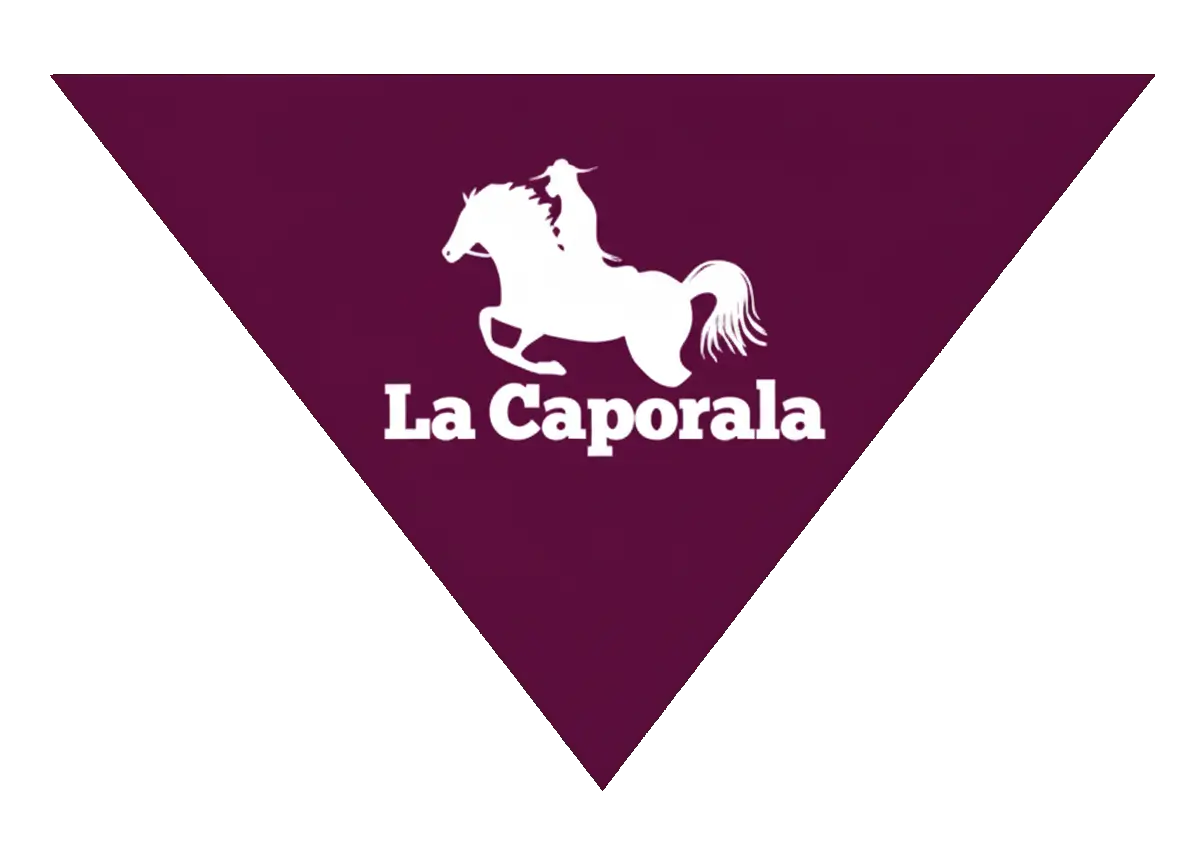 Logo Galu Inmobiliaria